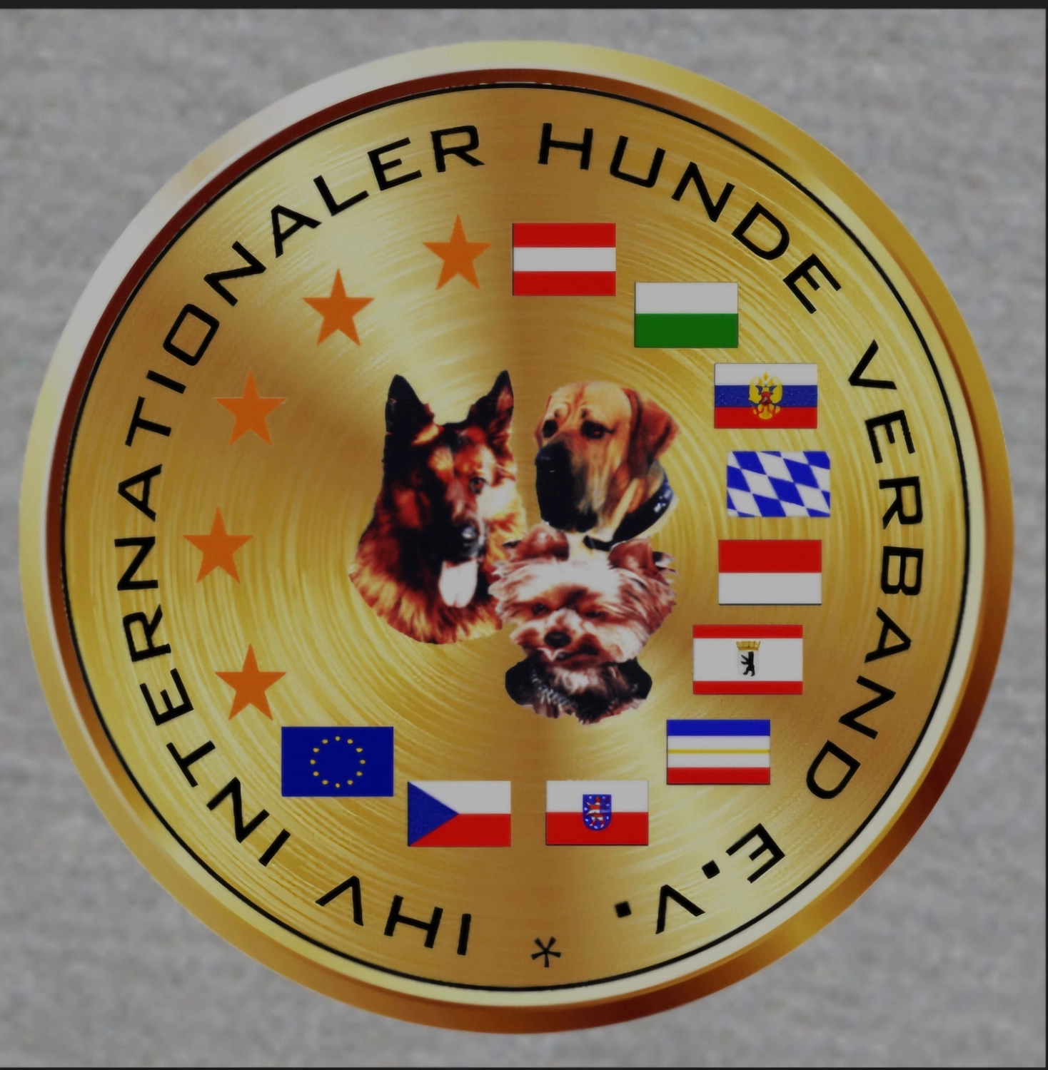 Rhodesian Ridgeback of Minabou-Massai - Hundezucht - Internationaler Hunde Verband e.V